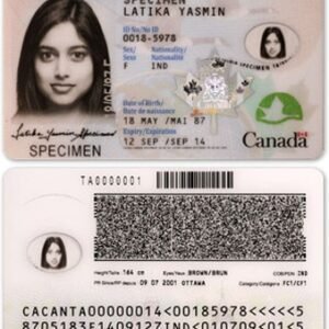 Buy fake Canadian ID card online