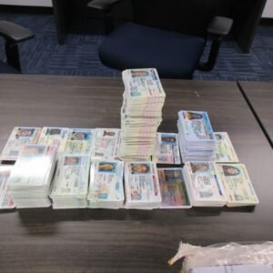 Florida Driving License