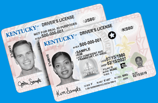 Kentucky driver license online
renew Kentucky driver license online
Kentucky driver license renewal online
apply for Kentucky driver license online
Kentucky DMV online services
Kentucky driver license replacement online
Kentucky driver license online
how to renew Kentucky driver license online step by step
can I order a Kentucky driver license online
Kentucky driver license online application process
Kentucky REAL ID online renewal
replace lost Kentucky driver license online
Kentucky driver license renewal requirements online
Kentucky license renewal without visiting office
how long does Kentucky online license renewal take