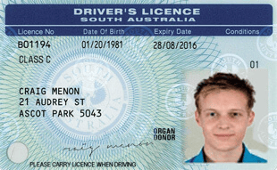 Buy South Australia Driver Licence Online
